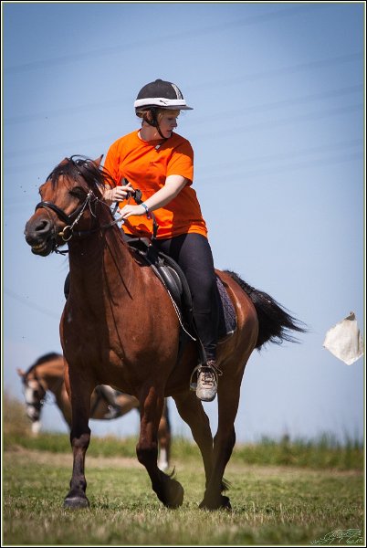Mounted Games 189